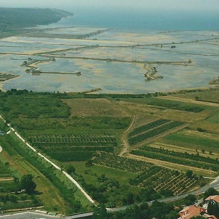 SečovljeApartmaji In Vinogradnistvo Klobasアパートメント エクステリア 写真