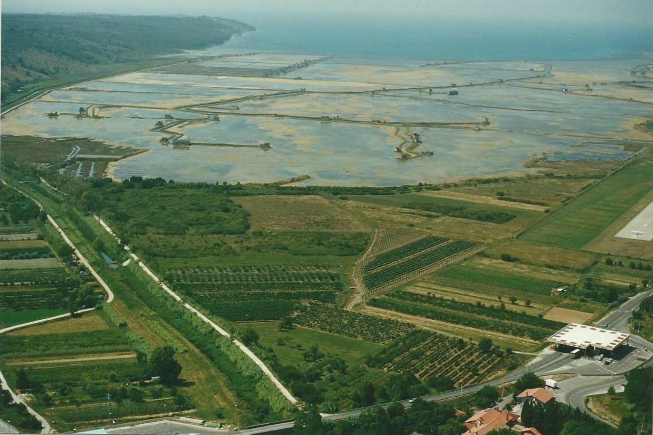 SečovljeApartmaji In Vinogradnistvo Klobasアパートメント エクステリア 写真