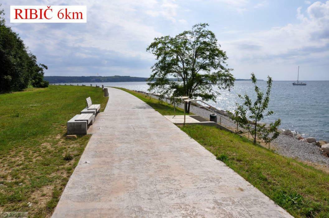 SečovljeApartmaji In Vinogradnistvo Klobasアパートメント エクステリア 写真